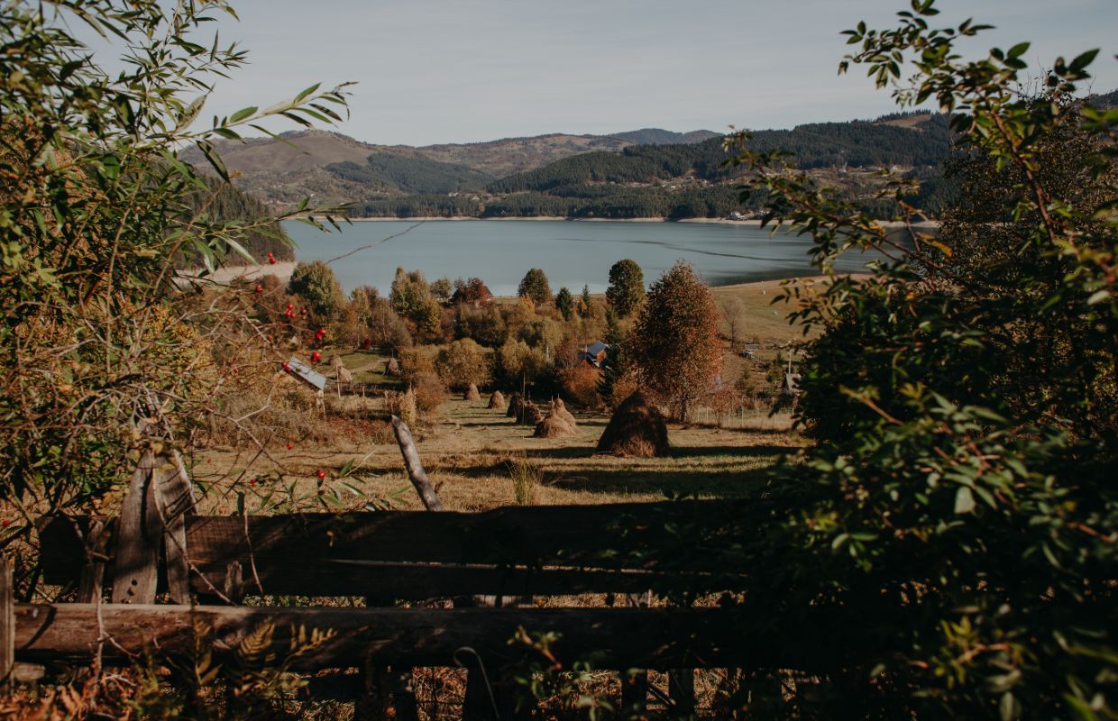 Gospodării din Izvorul Alb, între pădure și lacul Izvorul Muntelui
